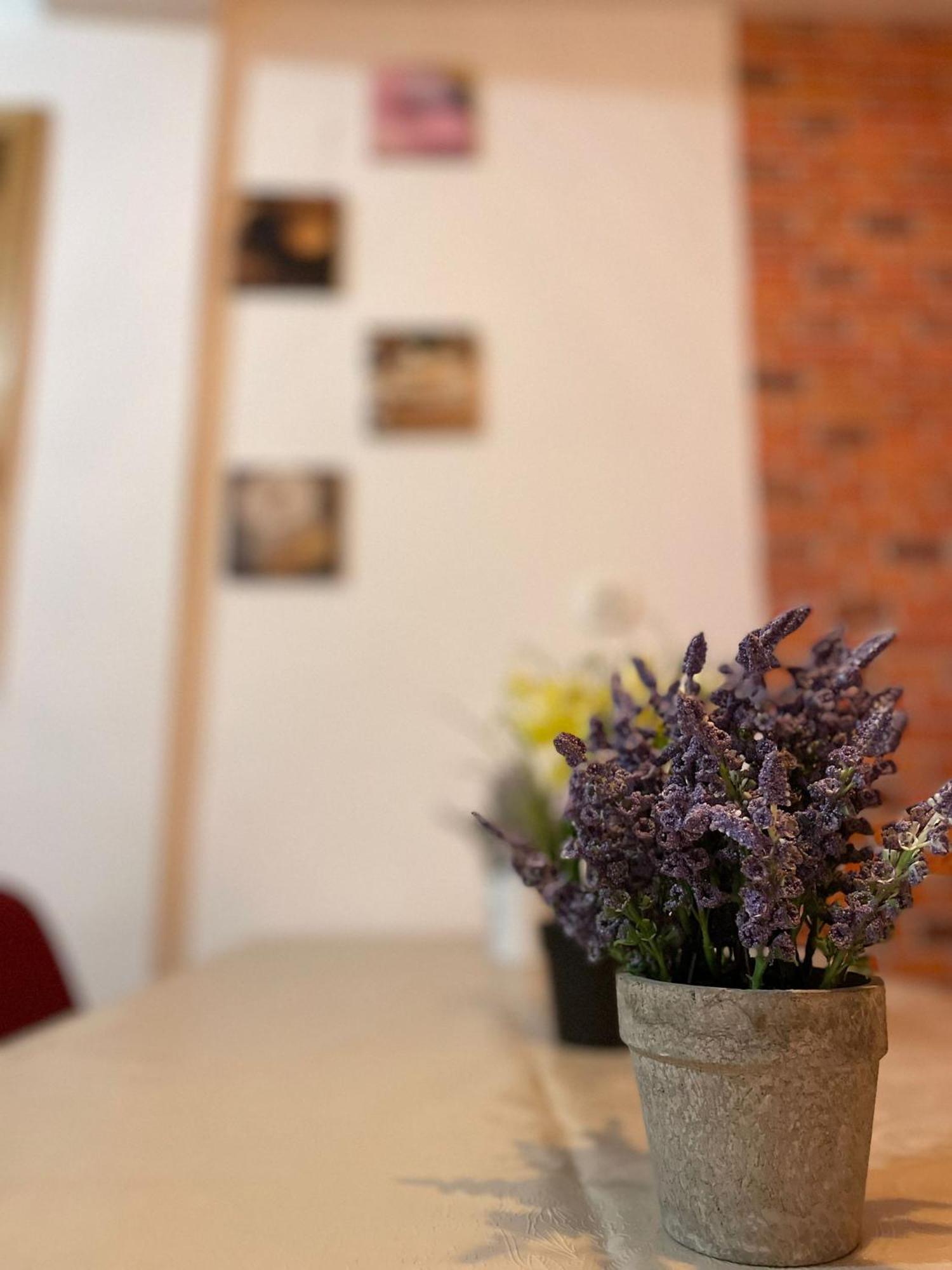 Mossapartments 布加勒斯特 外观 照片